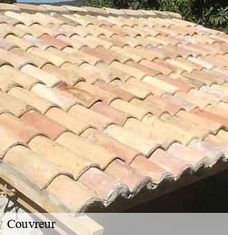 Couvreur 41 Loir-et-Cher Louis couverture