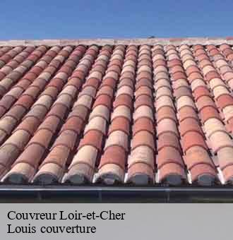 Couvreur 41 Loir-et-Cher Louis couverture