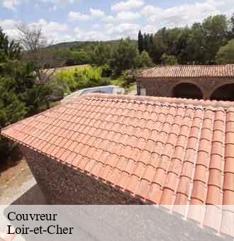 Couvreur 41 Loir-et-Cher Louis couverture