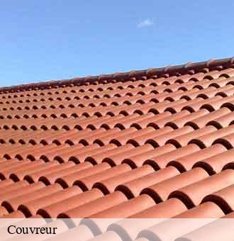 Couvreur 41 Loir-et-Cher Louis couverture
