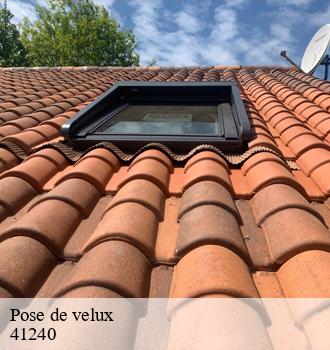 Entreprise de pose de velux située à Autainville